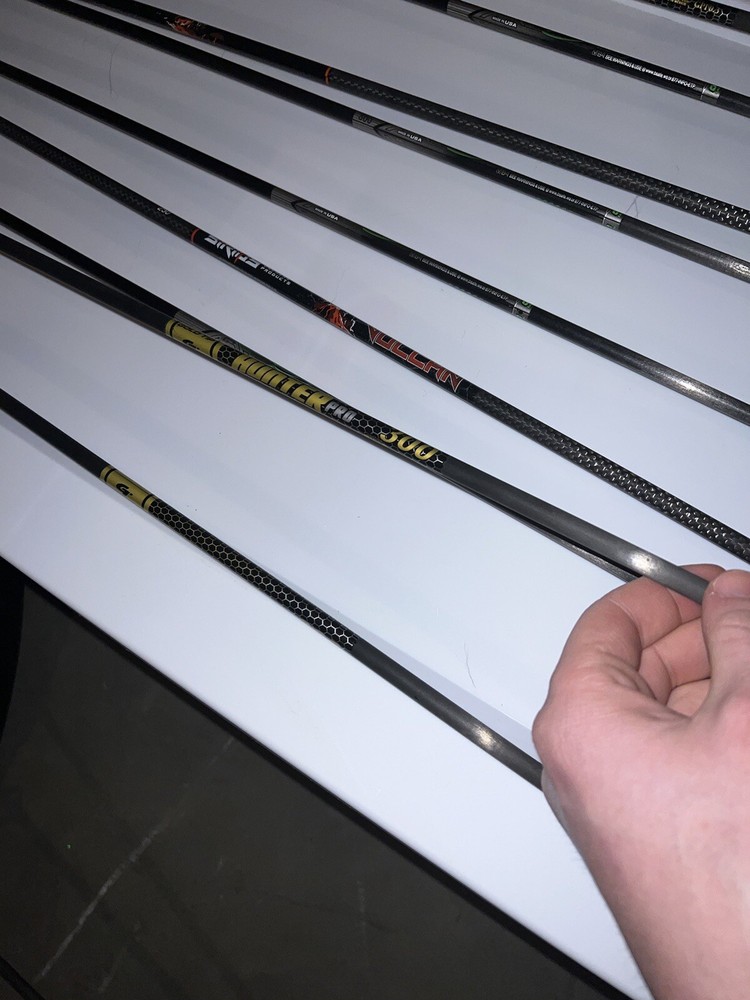 Bear Paradox Compound Bow