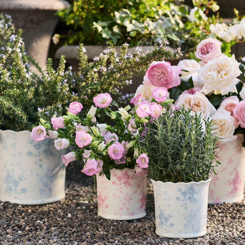 New Pottery Barn LoveShackFancy Rose Ceramic Cachepot Blue