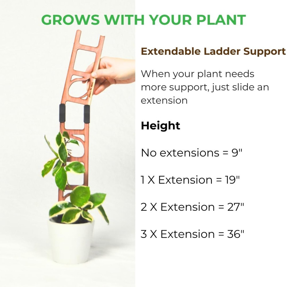 Treleaf Stella Extendable Ladder Trellis - Wooden Regular - Base Kit, Red