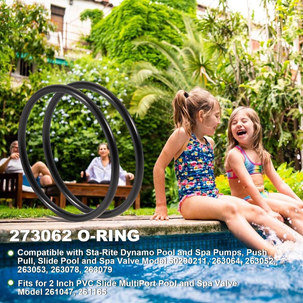 2Pcs 273062 O-Ring for Sta-Rite Dynamo Pumps, Push Pull, Slide Pool & Spa Valve