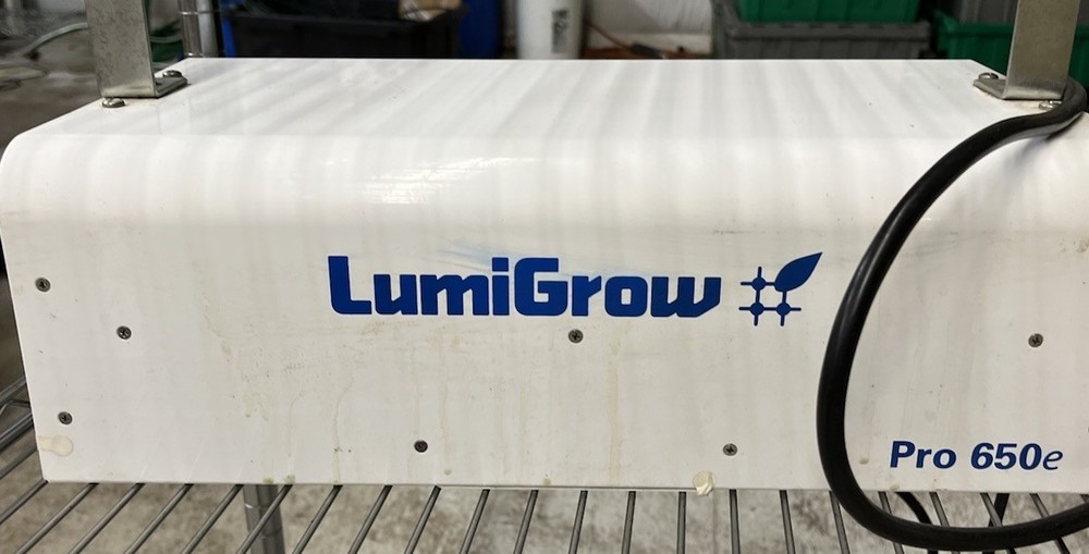Lumigrow Grow Light