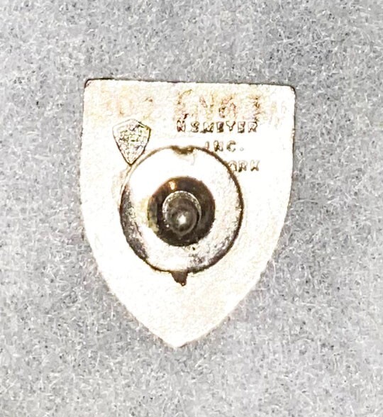 WWII 302nd Engineer Regiment DI SB
