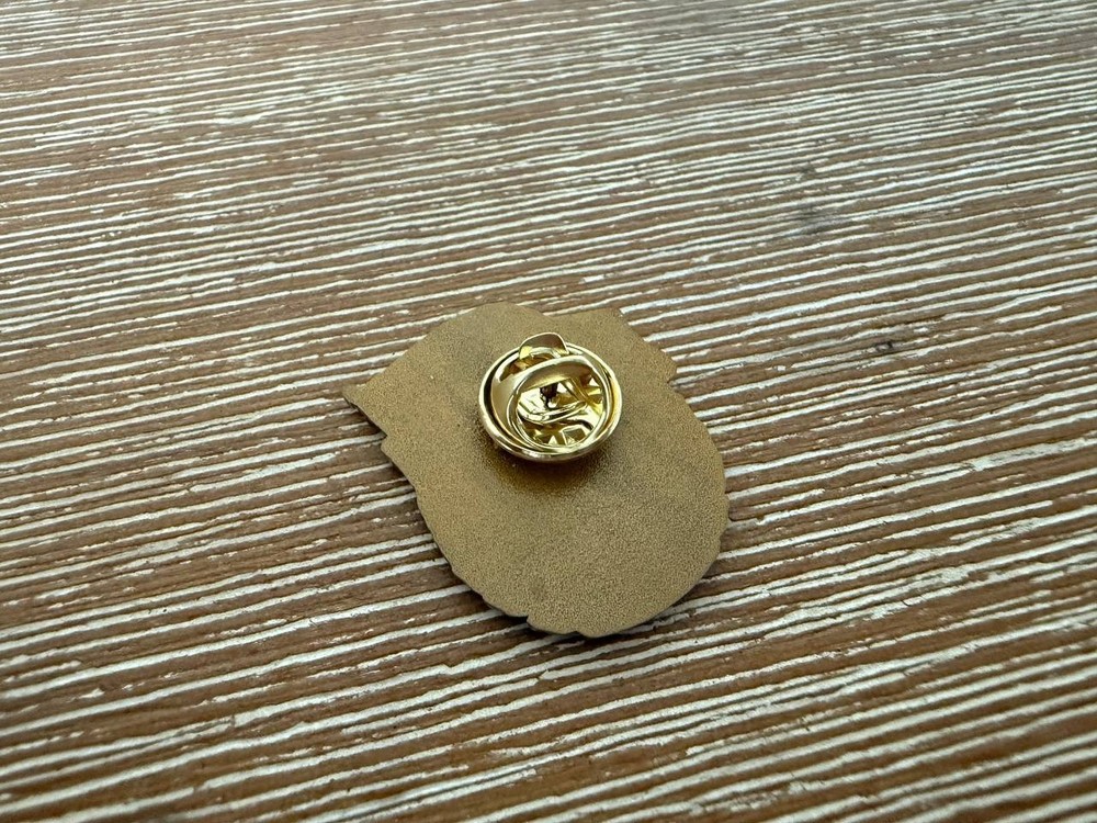 Russian DNR Guard Pin