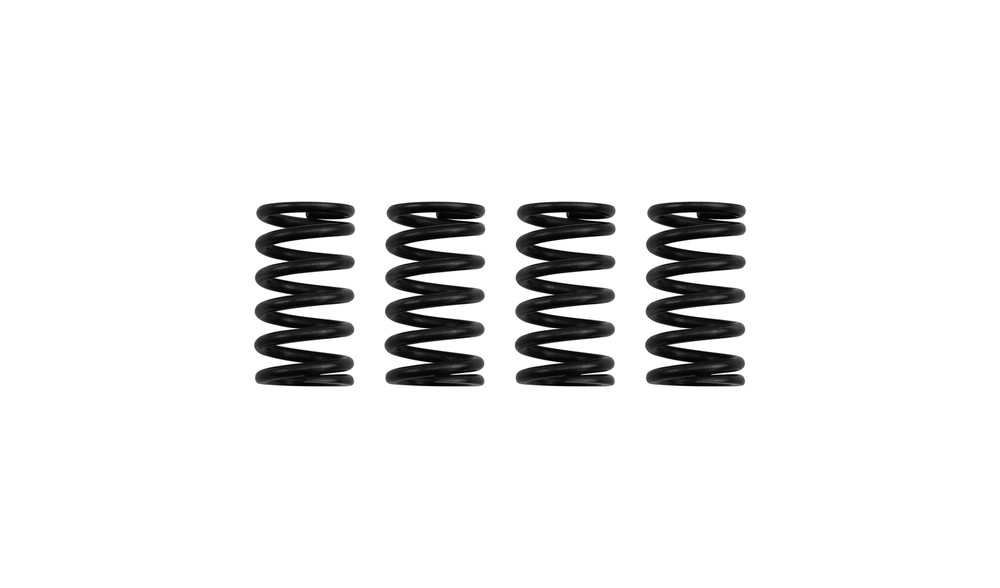 Clutch Spring Kit for 1995 Honda NSR 125 RR