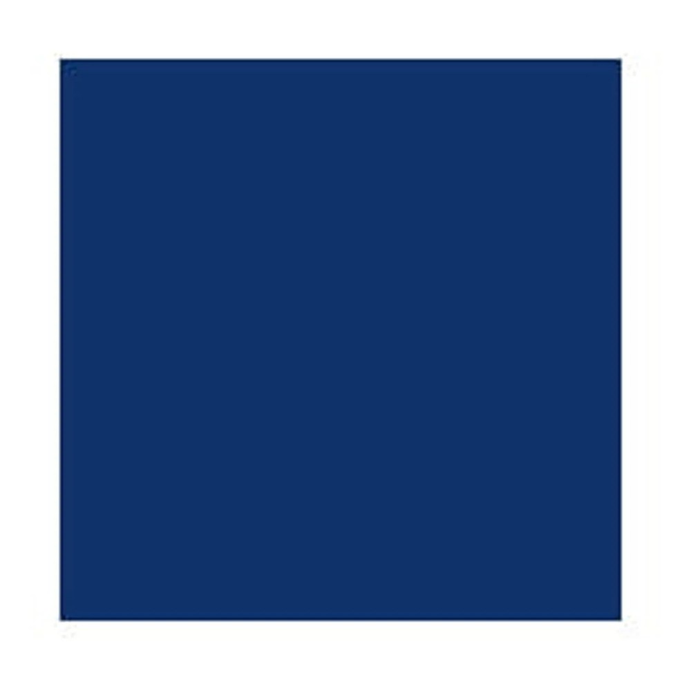 Sterilite Large Latching Storage Bin 66 Quart Blue
