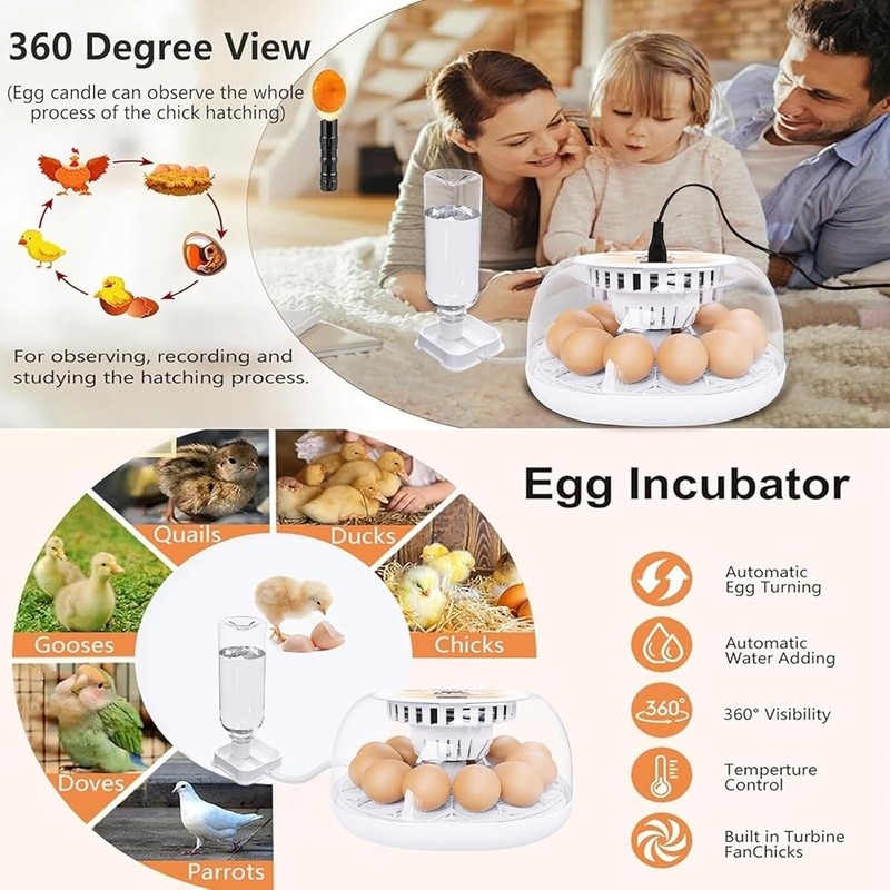 12 Eggs Incubator Automatic Turning LED Display Water Adding Hatching Poultry US