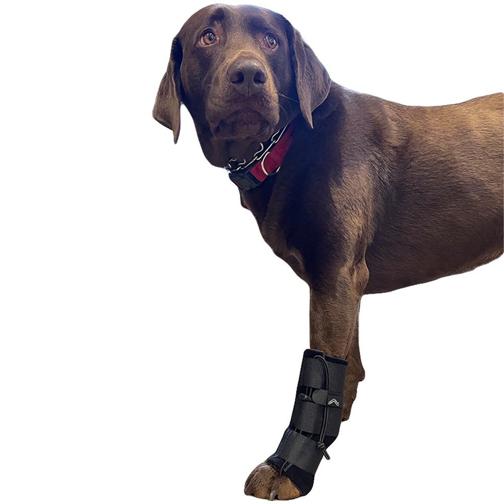 Toe'sUP Front Carpal Support Brace