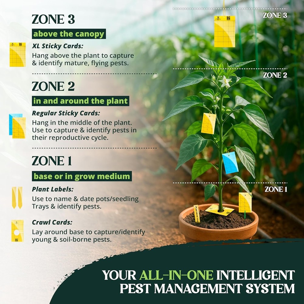 Catchmaster GRO Yellow Pre-Cut Ready to Use Sticky Traps