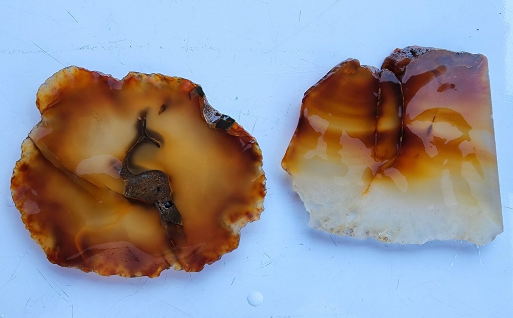 Carnelian Agate Oregon
