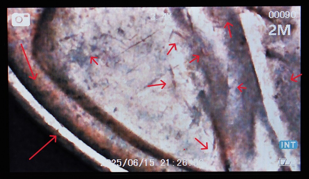 1949 S Lincoln Wheat Penny Error