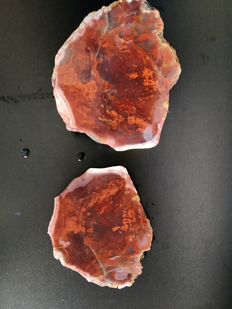 Moss agate Lapidary rough and slab Maury Mountain
