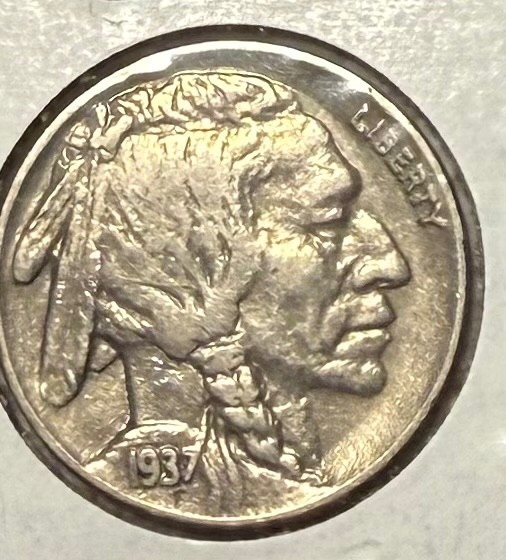 1937 buffalo nickel