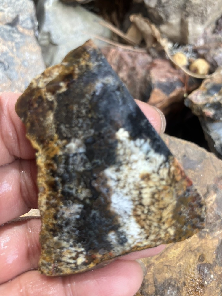 Priday Plume Agate Slab (Oregon)