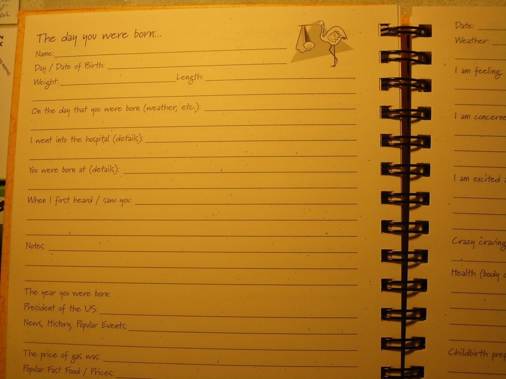 Maternity, My Pregnancy Journal yellow ,write it down