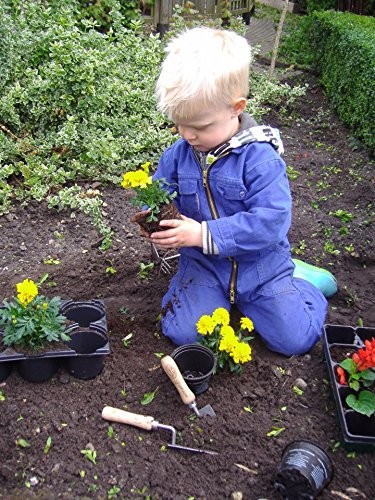 Tierra Garden Junior Kid's Hand Fork