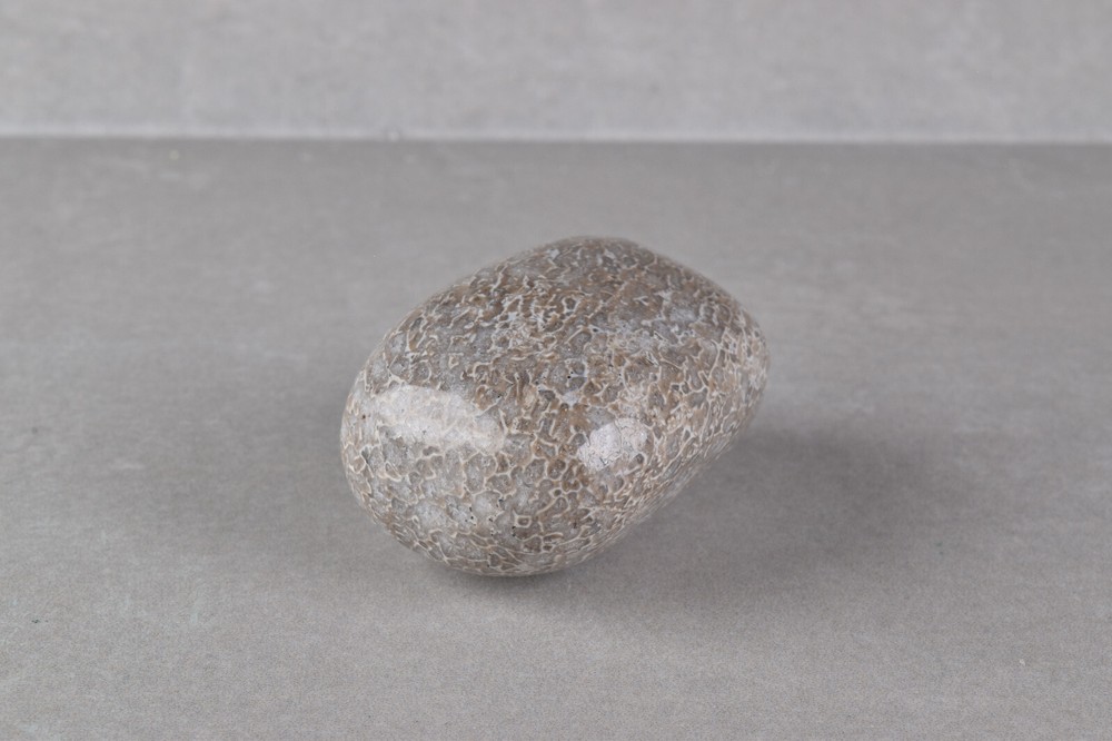 Dinosaur Bone Polished from Morocco 4.2 cm # 19756