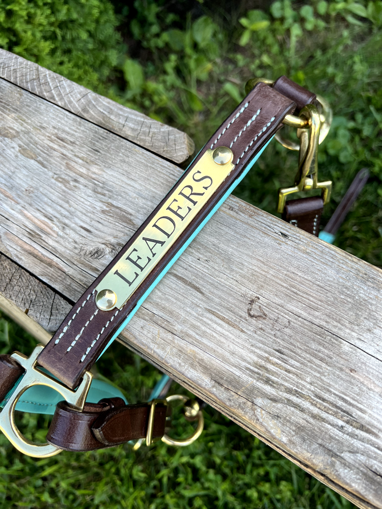 Leaders 1" Leather Halter with Turquoise Padding and Solid Brass Hardware