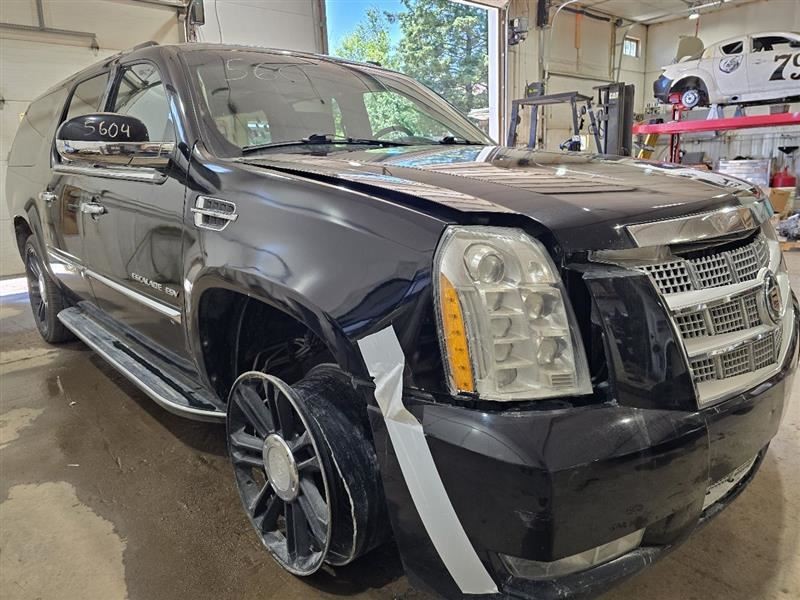 ESCALAESV 2011 Camera/Projector 588155