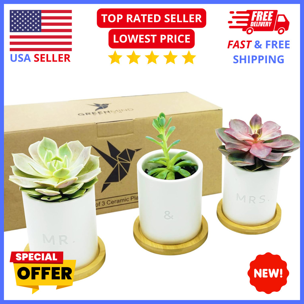 Mr and Mrs Planter Set 3pc Wedding Gift Decorative Flower Pot Set