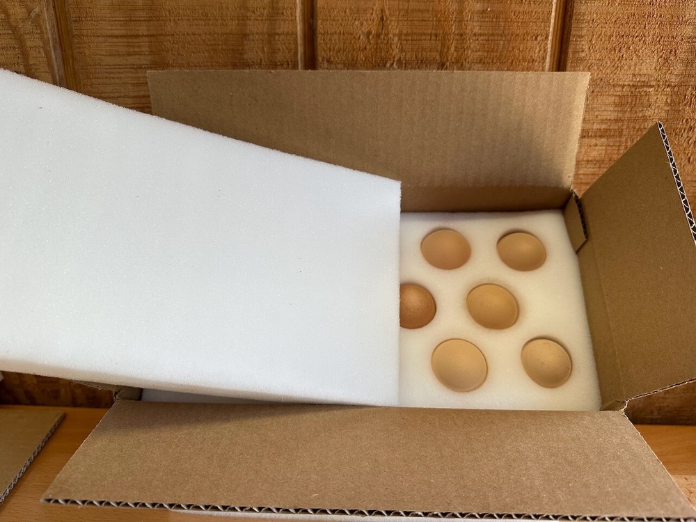 6 SETS - 14 Hole Foam Egg Shipper with Extra Thick Padding!