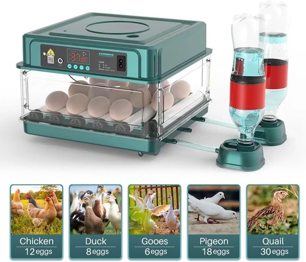 Automatic Egg Incubator 12-38 Egg Digital Poultry Hatcher Machine (12 Eggs)