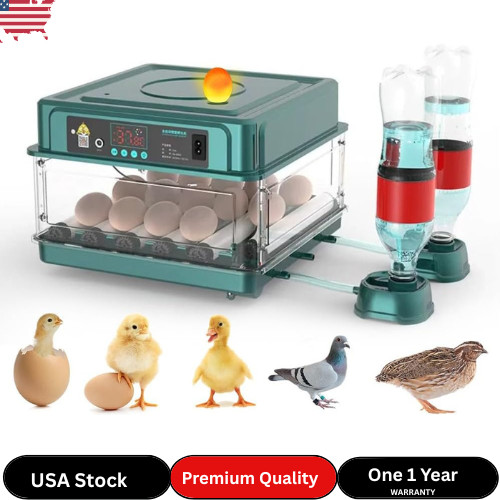 Automatic Egg Incubator 12-38 Egg Digital Poultry Hatcher Machine (12 Eggs)