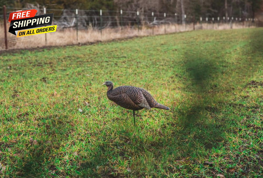 Flextone Thunder Breeder Hen Turkey Decoy