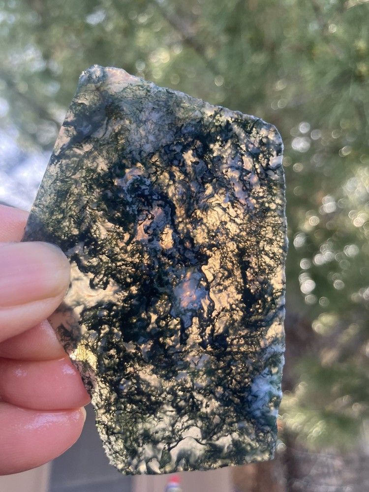 Indian Green Tree Moss Agate Sllab