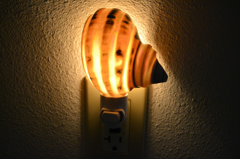 BANDED TURBO SEA SHELL NIGHT LIGHT 7968