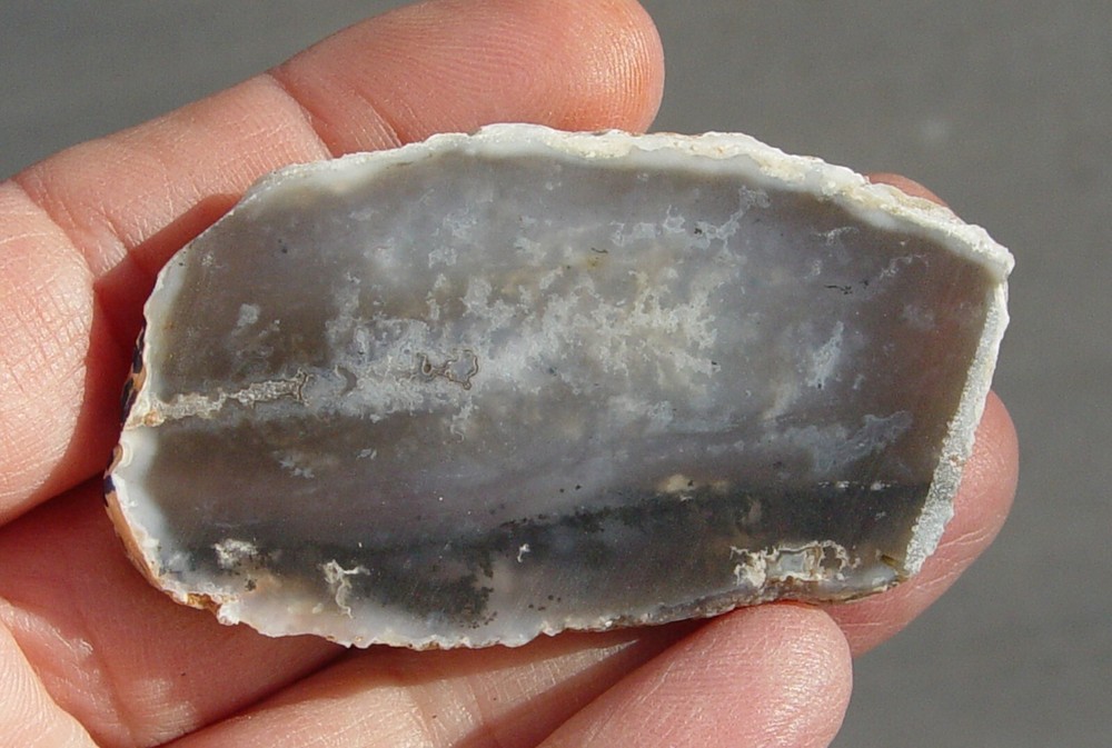 Dendritic Agate Lapidary Slab T967