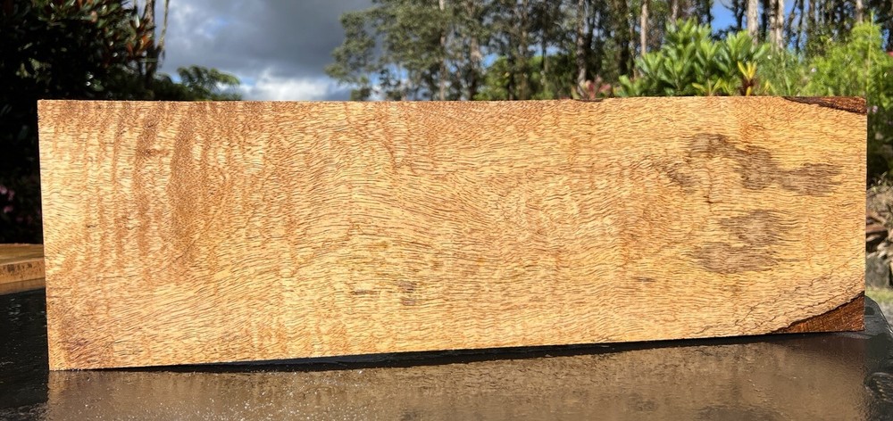 Hawaiian Curly Mango Board #12180