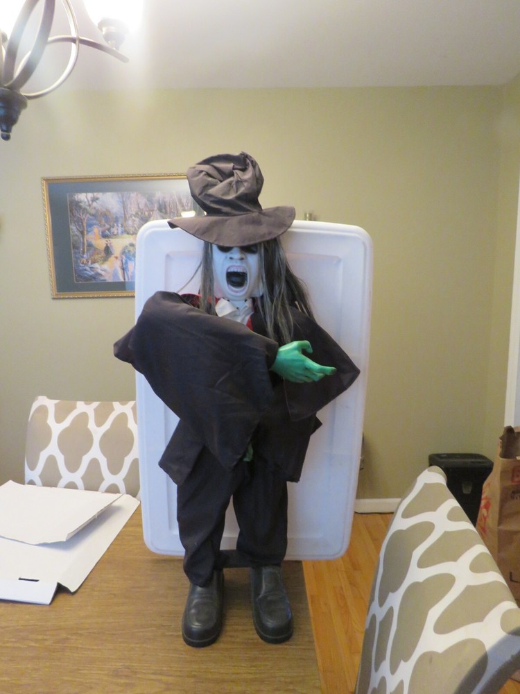 Motion Activated Halloween Decoration