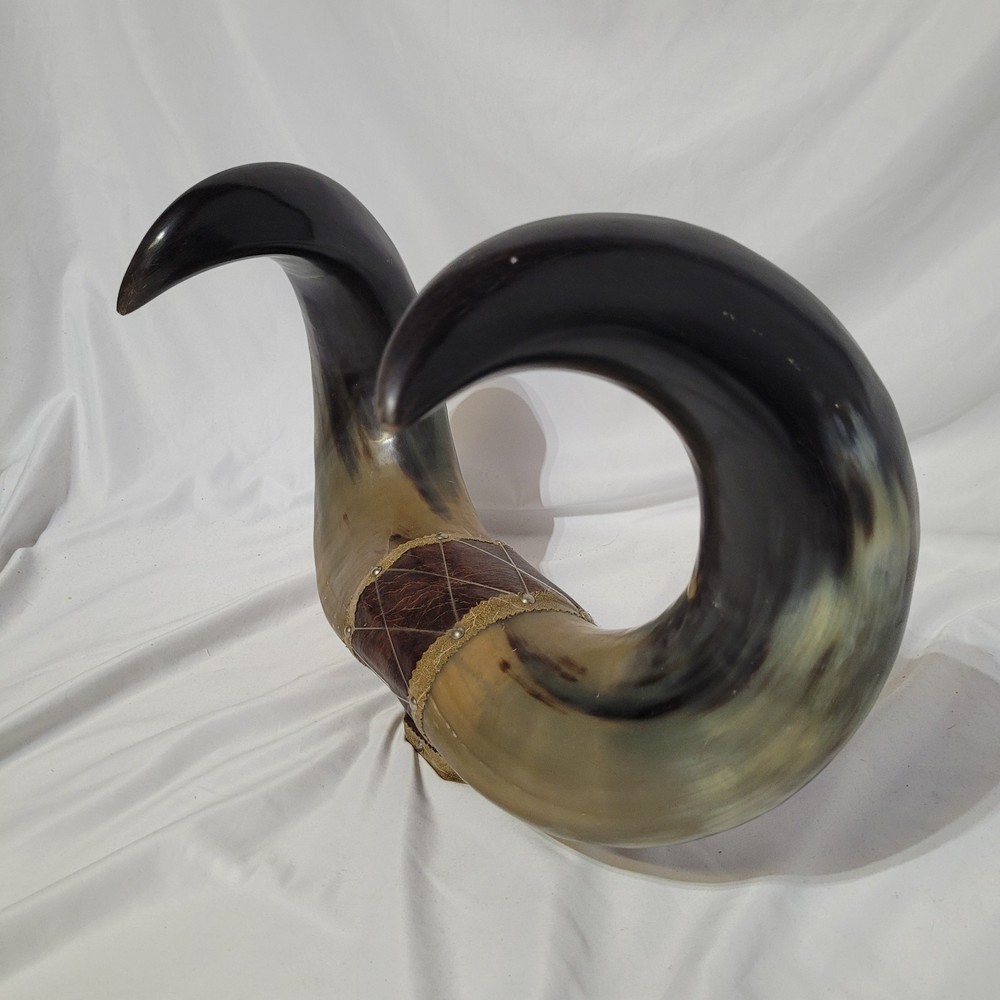 Buffalo Horn Wall Mount Decor 19x13