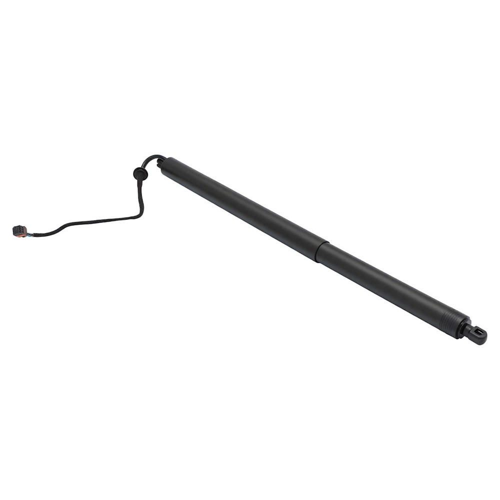 Hatch Lift Support Driver or Passenger Side Right Left Driver/Passenger