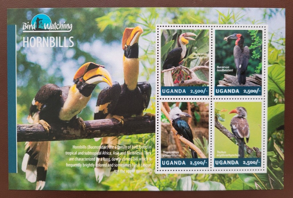 Uganda 2014 / Birds - Hornbills  / 4v ms