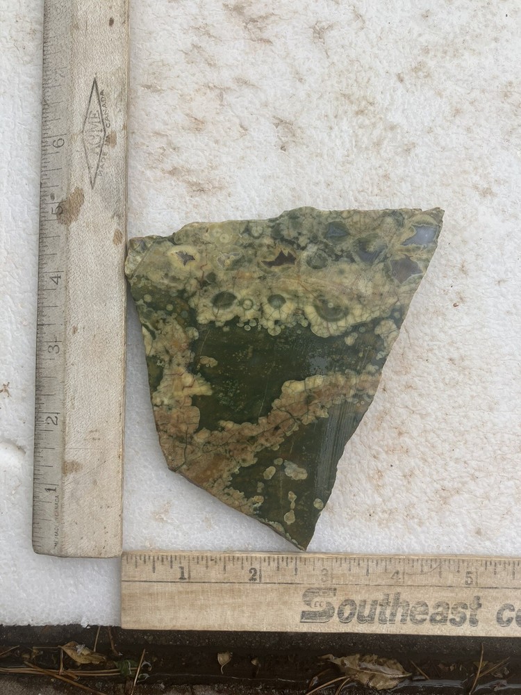 Rainforest Jasper Slab