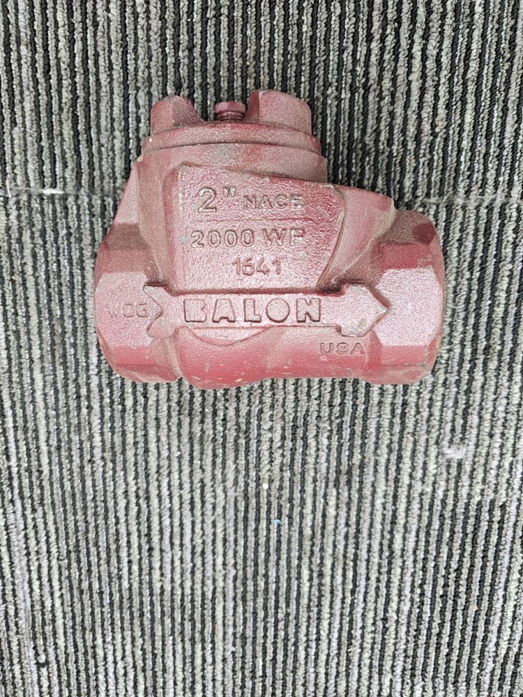 BALON 1641 2" Swing Check Valve 2000 WP NACE Heavy Duty Threaded Bore