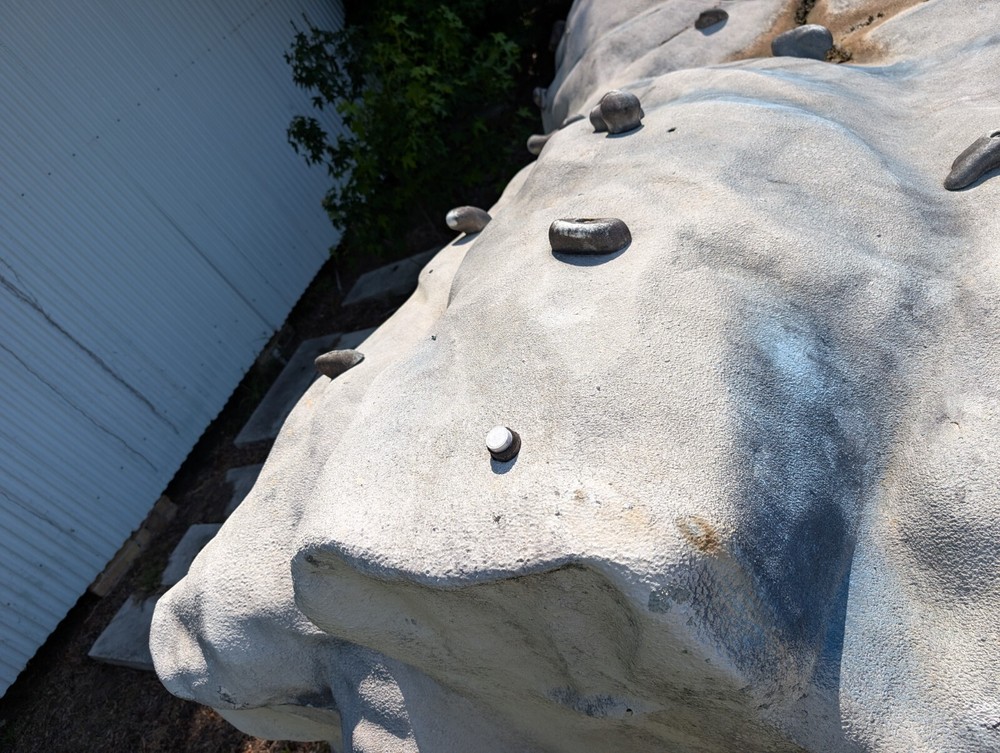 25 Foot Rock Climbing Wall