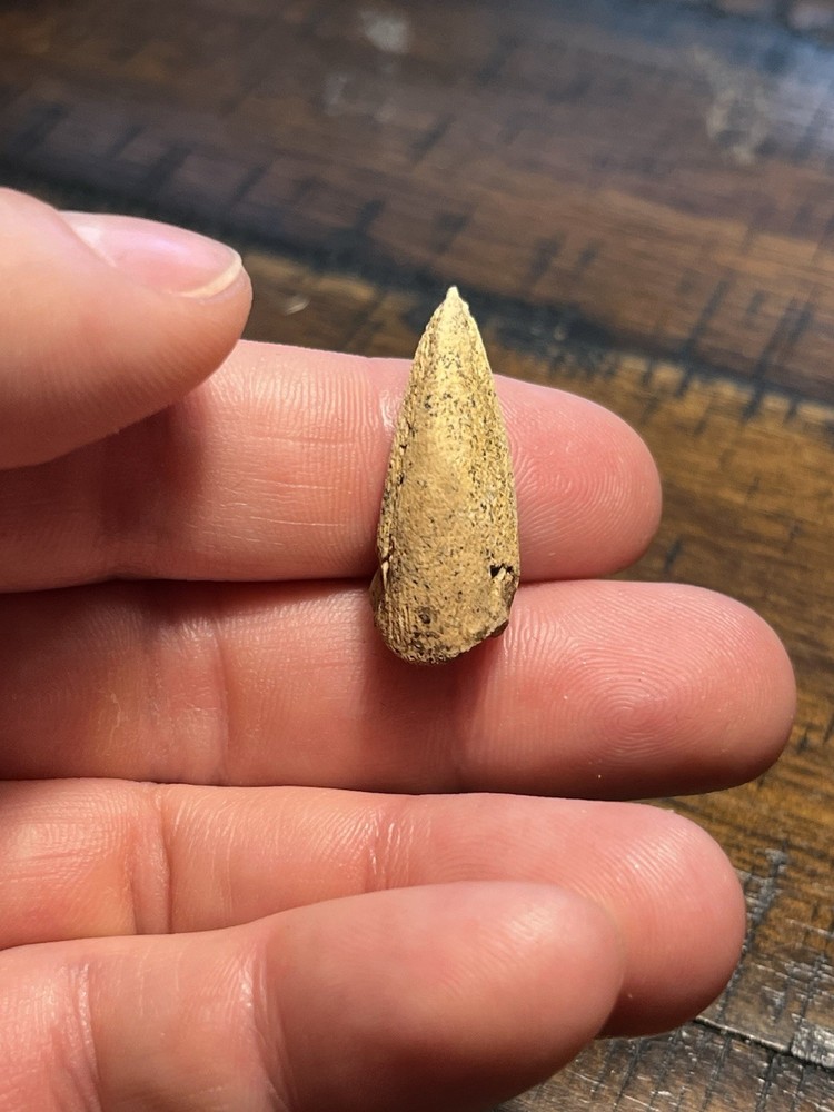 Giant Turtle Claw Dinosaur Age Fossil Hell Creek Form ND