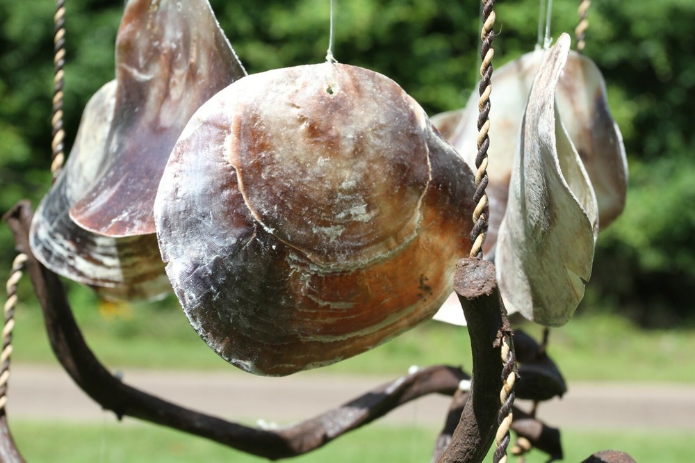 WINDCHIME,Large Seashell Windchime,beach decor,seashells,Beach Decor, gift G-37