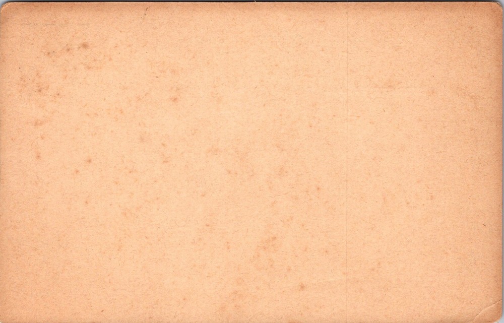 Bermuda - Unused Postcard - J8417