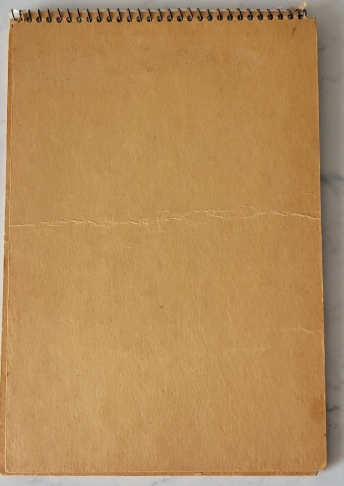 Vintage ~ Gregg Ruled Stenographers' Note Book ~ A Plus Notebook
