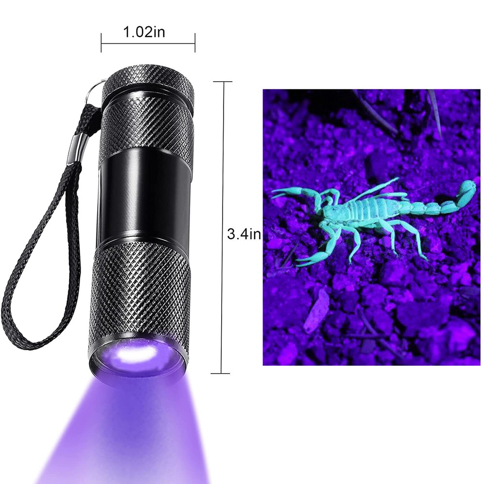 UV black light scorpion detection flashlight