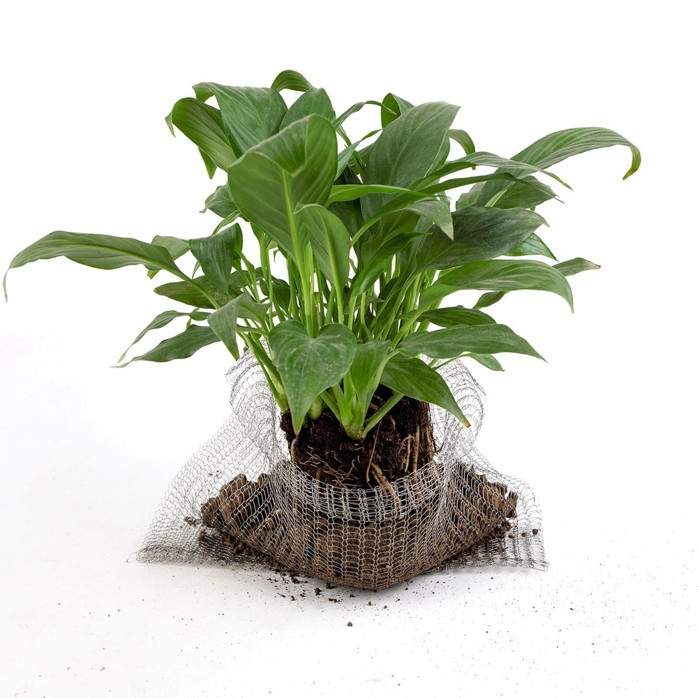 8 PCS 5 Gallon Root Guard Gopher Proof Wire Basket Stainless Steel Silver