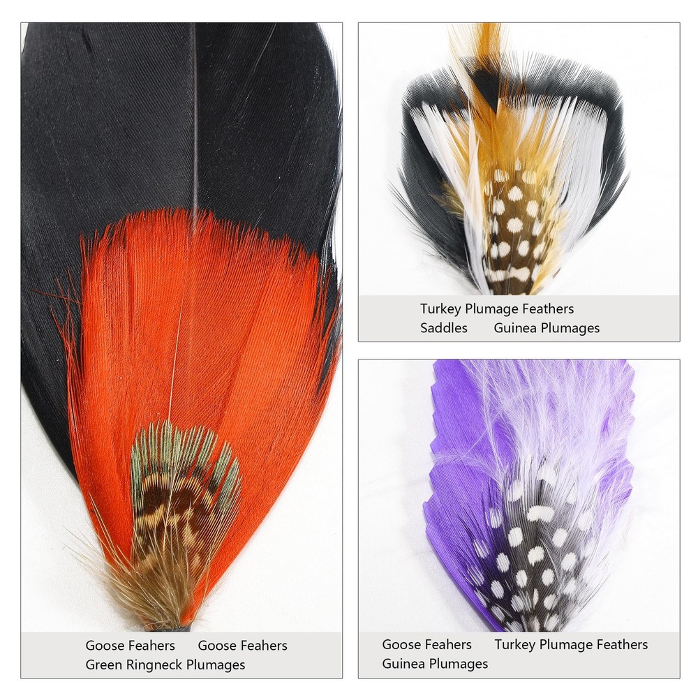 SendyFeather Hat Feathers 20 Styles Natural Assorted 4-6Inch, Multicolored