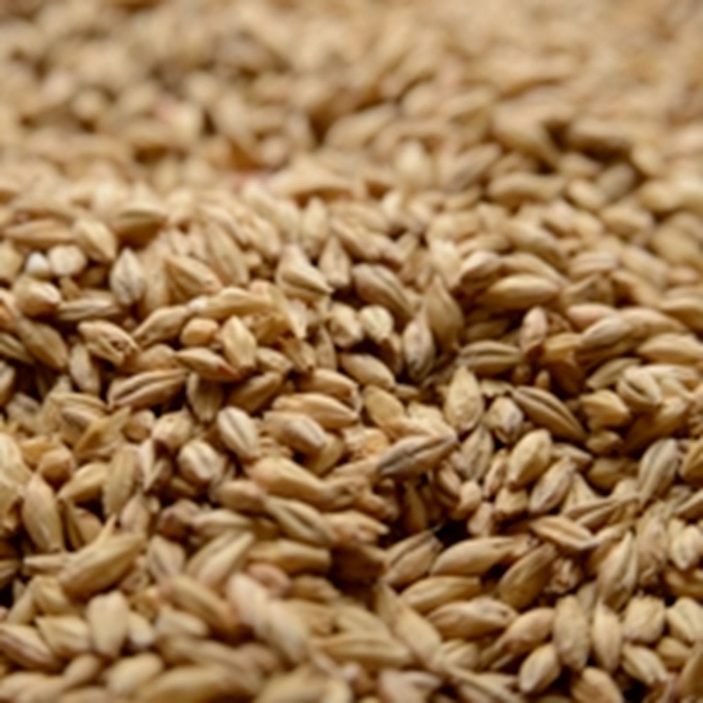 Briess 2-Row Pale Malt, 1lb