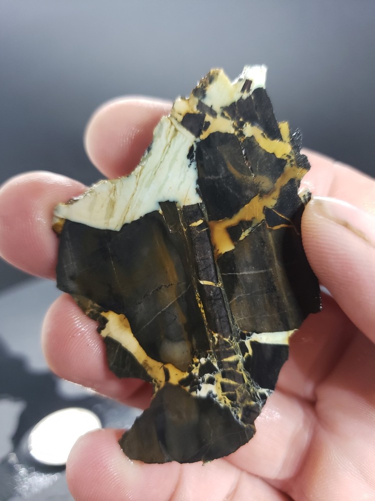 Nevada Gecko Variscite Slab