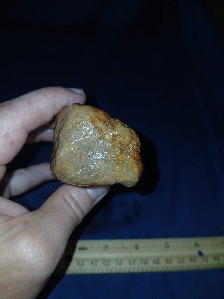 9.7 oz Texas Petrified Wood