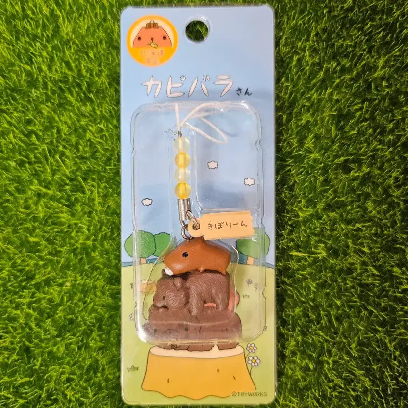 Capybara Box Keyring Strap Wooden Bear