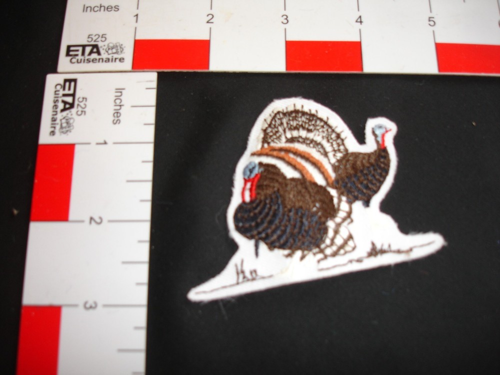 Hunting Patch Turkey